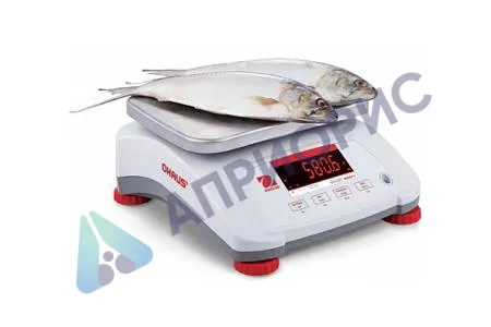 Поверка весов технических V41PWE3T