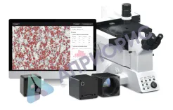 Металлографический комплекс OMOS-серии с системой анализа микроструктуры объектов Axalit