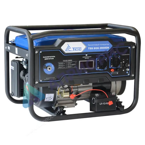 Бензиновый генератор TSS SGG 2800EN