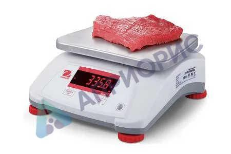 Поверка весов технических V22XWE1501T