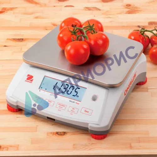 Поверка весов технических V71P15T