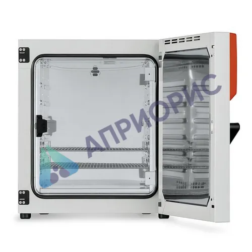 Термостат-инкубатор BINDER BD 260 Avantgarde.Line (естественная конвекция, 253 л, от Tокр. среды +5…+100 ºC)