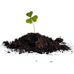 soil.png soil.png