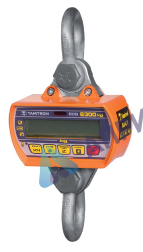 Поверка крановых весов электронных SCS/PCS