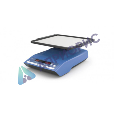 Шейкер IKA Rocker 2D digital (цифровой, 5-80 об/мин)