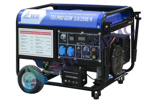 Сварочный генератор TSS PRO GGW 3.0/250E-R