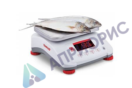 Поверка весов технических V41XWE1501T