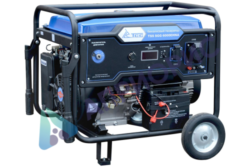 Бензиновый генератор TSS SGG 6000EHNA