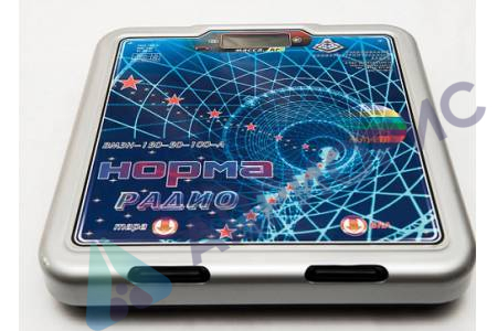 ВМЭН-200-50/100-А-3В (весы с озвучиванием) (акк + сеть)