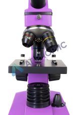Микроскоп Levenhuk Rainbow 2L PLUS Amethyst (Аметист)