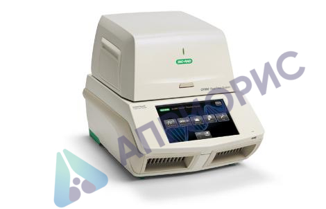 Поверка модулей реакционных оптических CFX96 в составе термоциклеров C1000 Touch для амплификации нуклеиновых кислот