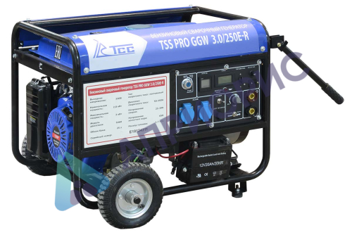 Сварочный генератор TSS PRO GGW 3.0/250E-R
