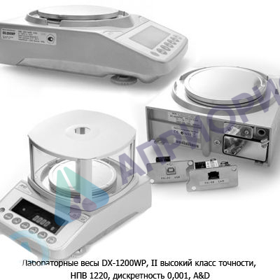Поверка весов лабораторных DX-3000WP