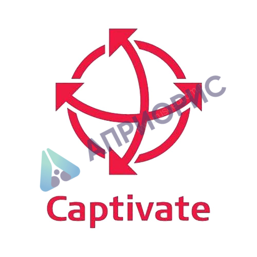 Лицензия Leica Captivate TS/MS Inspect Road