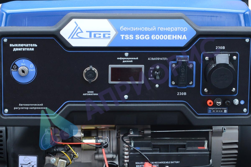 Бензиновый генератор TSS SGG 6000EHNA