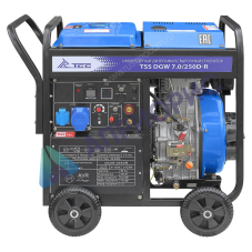 Сварочный генератор TSS DGW 7.0/250D-R