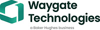 Waygate Technologies, США