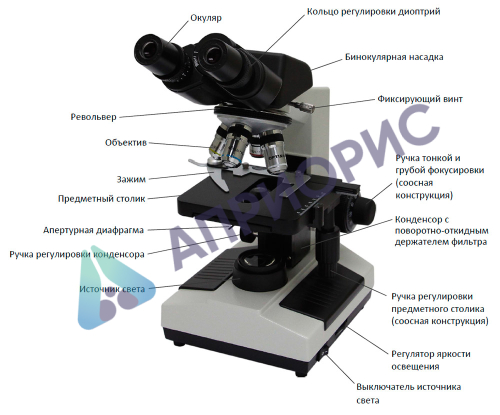 Учебный биологический микроскоп Optima® G-302 А