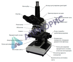 Учебный биологический микроскоп Optima® G-303 Р