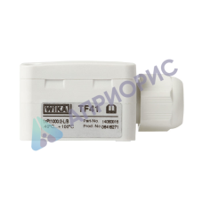 Поверка термопреобразователя Модель TF41 (термометра сопротивления)