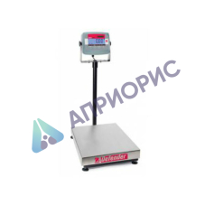 Поверка весов платформенных D31P300BX
