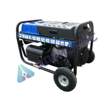 Сварочный генератор TSS PROF GGW 3.0/300E